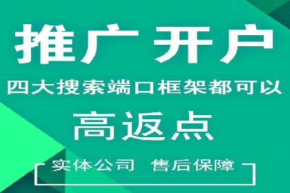 信息流广告投放公司案例解析